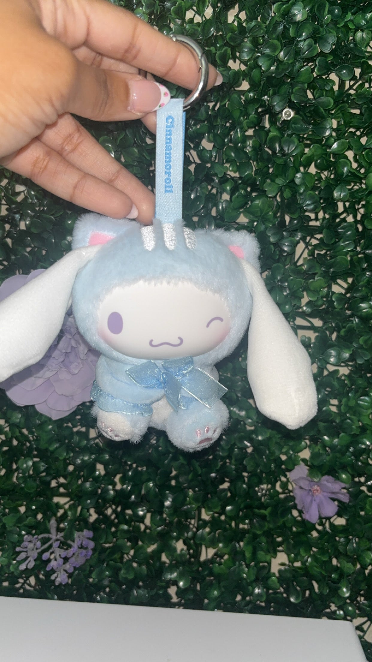 Sanrio Plushies